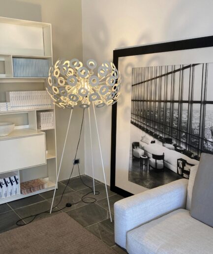 Dandelion floor Moooi in promotion - special price - outlet - special offer